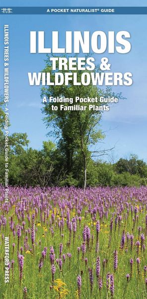 Produktbild: Illinois Trees & Wildflowers