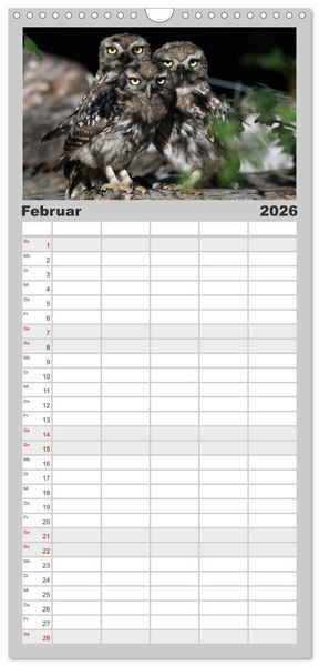 Produktbild: Familienplaner 2026 - V&ouml;gel, Gefiederte Sch&ouml;nheiten mit 5 Spalten (Wandkalender, 21 x 45 cm) CALVENDO