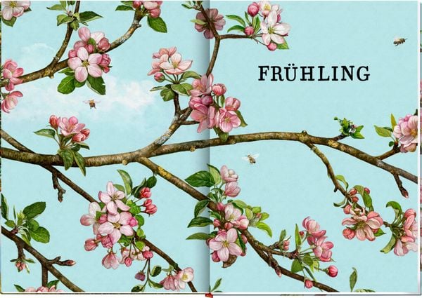 Produktbild: Das gro&szlig;e Buch vom Apfelbaum