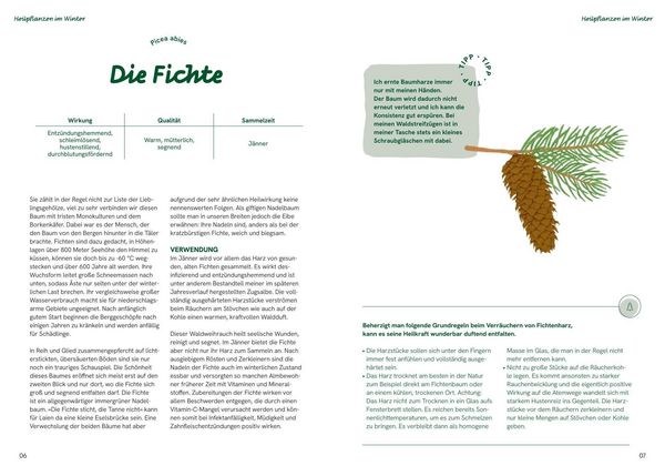 Produktbild: Die gro&szlig;e Waldapotheke