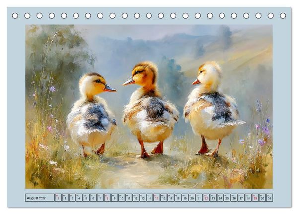 Produktbild: Zwergenten. Bezaubernde Schreih&auml;lse in der Natur (Tischkalender 2027 DIN A5 quer), CALVENDO Monatskalender