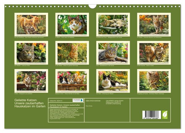 Produktbild: Geliebte Katzen. Unsere zauberhaften Hauskatzen im Garten (Wandkalender 2026 DIN A3 quer), CALVENDO Monatskalender