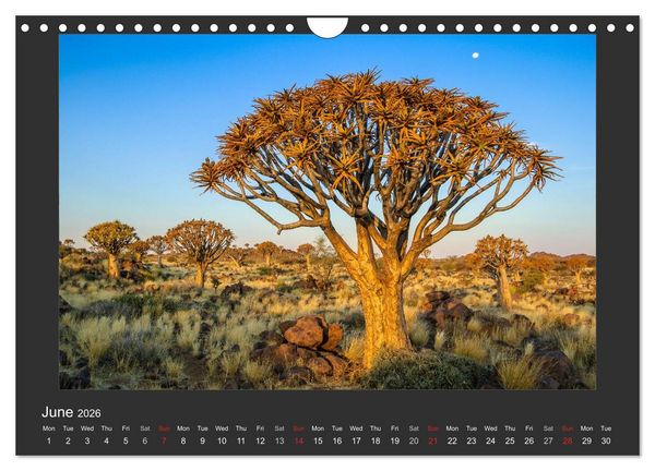 Produktbild: Namibia's Nature (Wall Calendar 2026 DIN A4 landscape), CALVENDO 12 Month Wall Calendar
