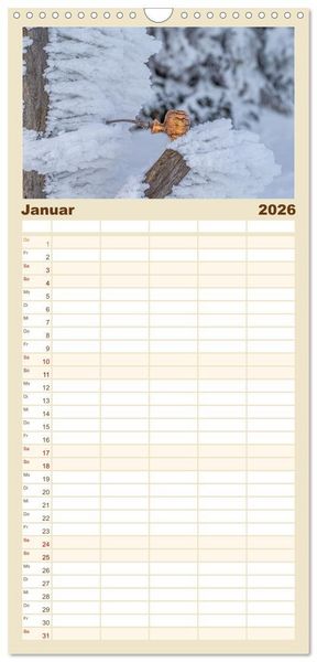 Produktbild: Familienplaner 2026 - Tabakpfeifenkunst mit 5 Spalten (Wandkalender, 21 x 45 cm) CALVENDO