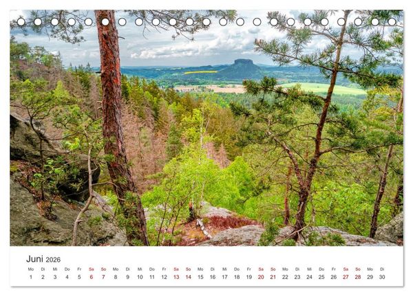 Produktbild: DEUTSCHLAND, S&auml;chsische Schweiz Nationalpark, M&auml;rchenwald (Tischkalender 2026 DIN A5 quer), CALVENDO Monatskalender