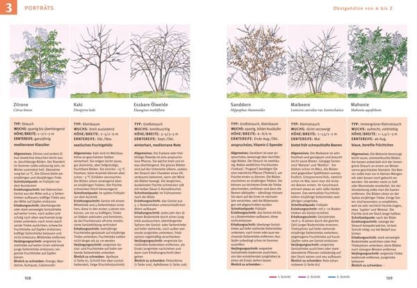 Produktbild: Obstgeh&ouml;lze schneiden