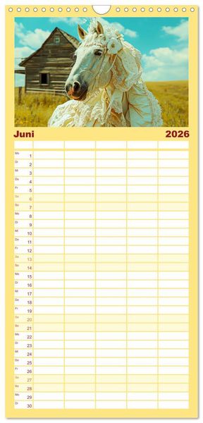 Produktbild: Familienplaner 2026 - Pferde-Fashion. Modische Highlights auf Hufen mit 5 Spalten (Wandkalender, 21 x 45 cm) CALVENDO