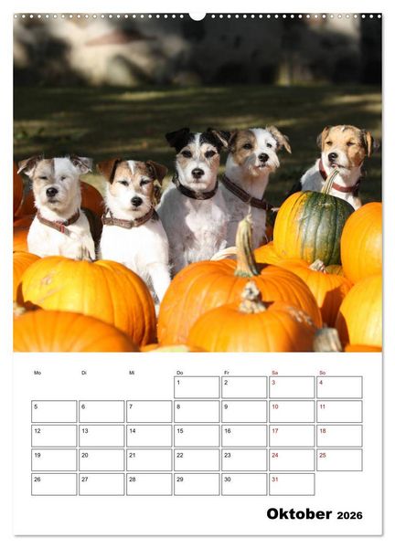Produktbild: Tender Fellows - Parson Russell Terrier (Wandkalender 2026 DIN A2 hoch), CALVENDO Monatskalender