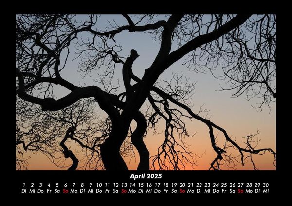 Produktbild: Landschaftskalender 2025 Fotokalender DIN A3