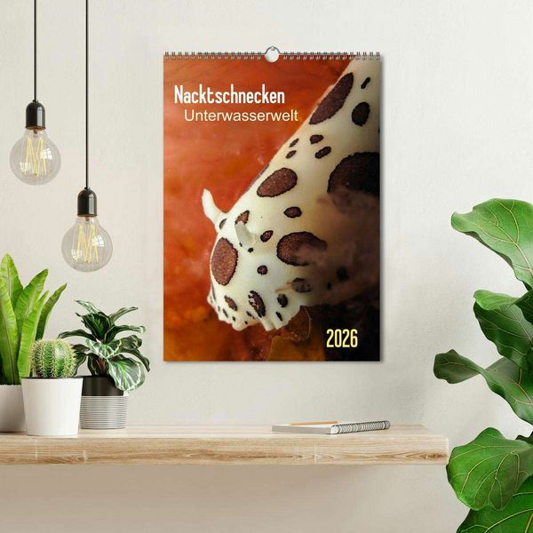 Produktbild: Nacktschnecken - Unterwasserwelt 2026 (Wandkalender 2026 DIN A3 hoch), CALVENDO Monatskalender