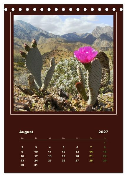 Produktbild: Wilde Kakteen Amerikas (Tischkalender 2027 DIN A5 hoch), CALVENDO Monatskalender