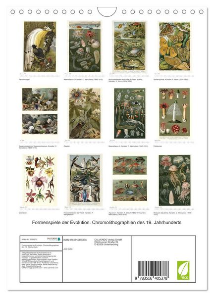 Produktbild: Formenspiele der Evolution. Chromolithographien des 19. Jahrhunderts (Wandkalender 2026 DIN A4 hoch), CALVENDO Monatskalender