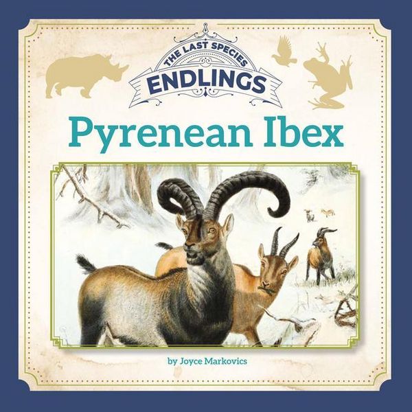 Produktbild: Pyrenean Ibex