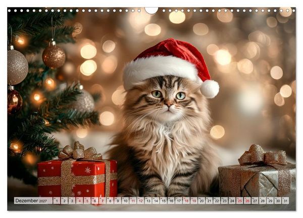 Produktbild: Kleine K&auml;tzchen - Ein Jahr voller Samtpfotenzauber (Wandkalender 2027 DIN A3 quer), CALVENDO Monatskalender