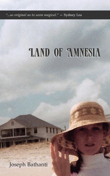 Produktbild: Land of Amnesia