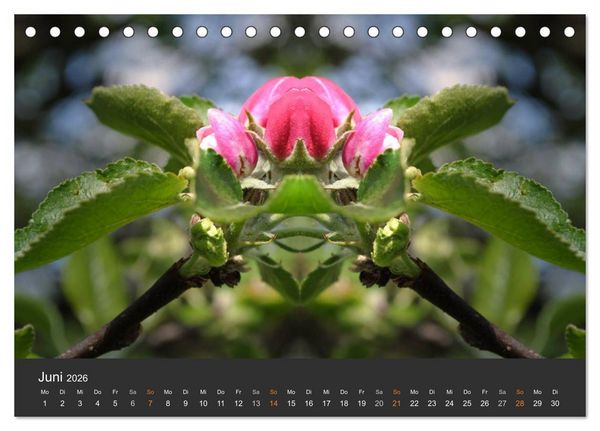 Produktbild: Spiegelwelten - Im Reich der Naturwesen (Tischkalender 2026 DIN A5 quer), CALVENDO Monatskalender