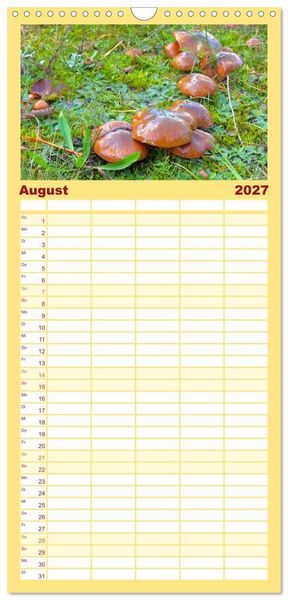 Produktbild: Familienplaner 2027 - Heimische Pilze mit 5 Spalten (Wandkalender, 21 x 45 cm) CALVENDO