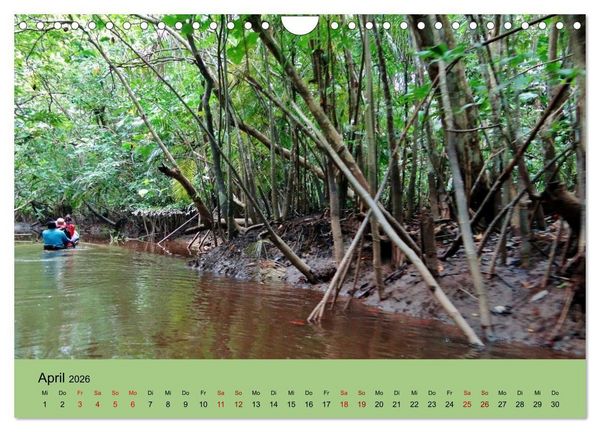 Produktbild: Venezuela - Natur pur Orinoco Delta und die Anden (Wandkalender 2026 DIN A4 quer), CALVENDO Monatskalender