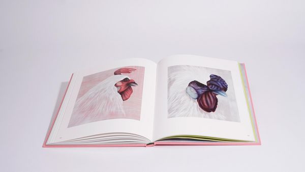 Produktbild: Jagoda Bednarsky &ndash; SHADOWLAND ET AL