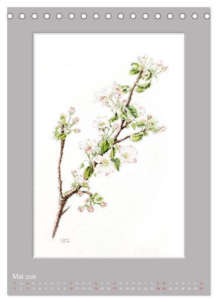 Produktbild: Alpenblumen Aquarelle aus Tirol (Tischkalender 2026 DIN A5 hoch), CALVENDO Monatskalender
