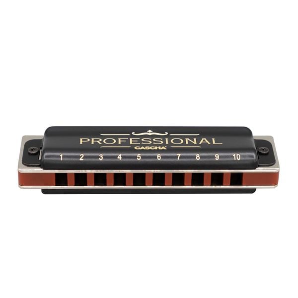 Produktbild: Professional Blues Harmonica in C (incl. case and cleaning cloth)