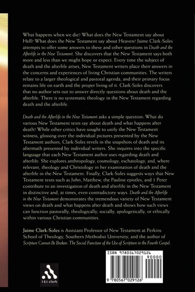 Produktbild: Death and the Afterlife in the New Testament