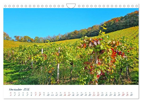 Produktbild: K&ouml;nigswinter-Oberdollendorf &ndash; Traum-Trip durch farbenpr&auml;chtige Weinberge (Wandkalender 2026 DIN A4 quer), CALVENDO Monatskalender