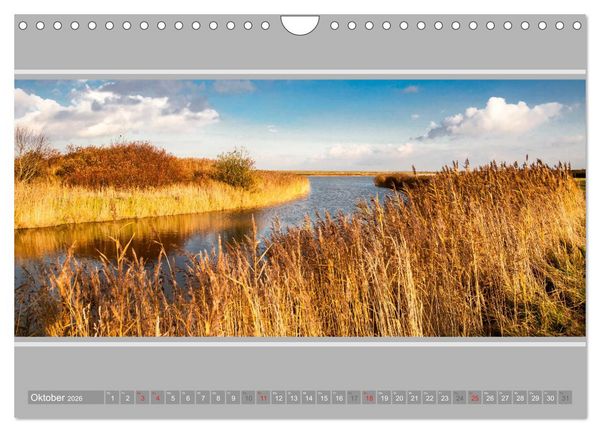 Produktbild: Ostfriesland - Deichspaziergang (Wandkalender 2026 DIN A4 quer), CALVENDO Monatskalender
