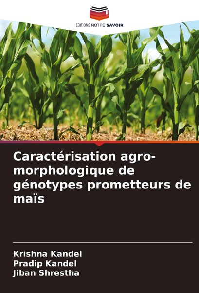Produktbild: Caract&eacute;risation agro-morphologique de g&eacute;notypes prometteurs de ma&iuml;s