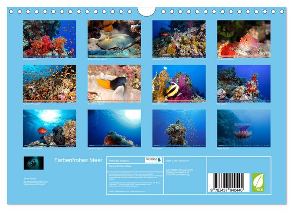 Produktbild: Farbenfrohes Meer (Wandkalender 2026 DIN A4 quer), CALVENDO Monatskalender