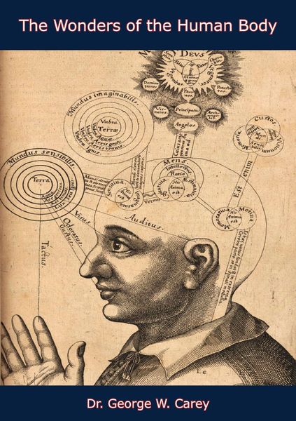 Produktbild: Wonders of the Human Body