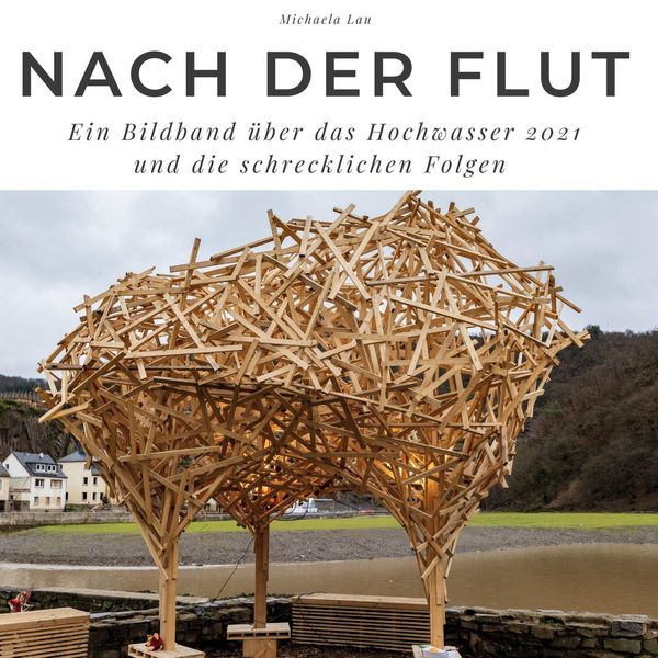 Produktbild: Nach der Flut