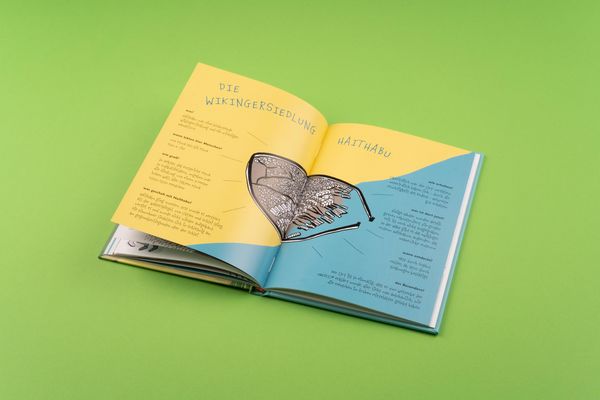 Produktbild: Wilde Wikinger in Sicht