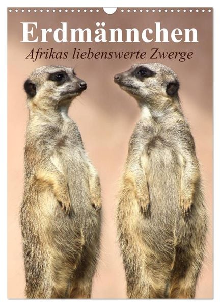 Erdmännchen - Afrikas liebenswerte Zwerge (Wandkalender 2025 DIN A3 hoch), CALVENDO Monatskalender