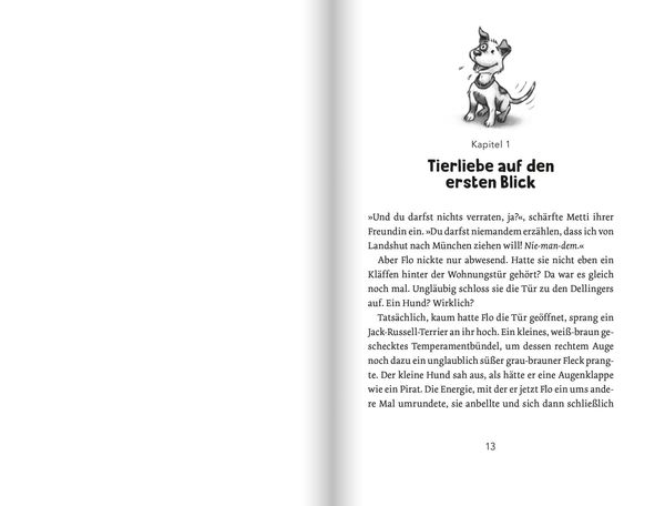 Die Isar-Detektive 2. Verdacht im Tierheim