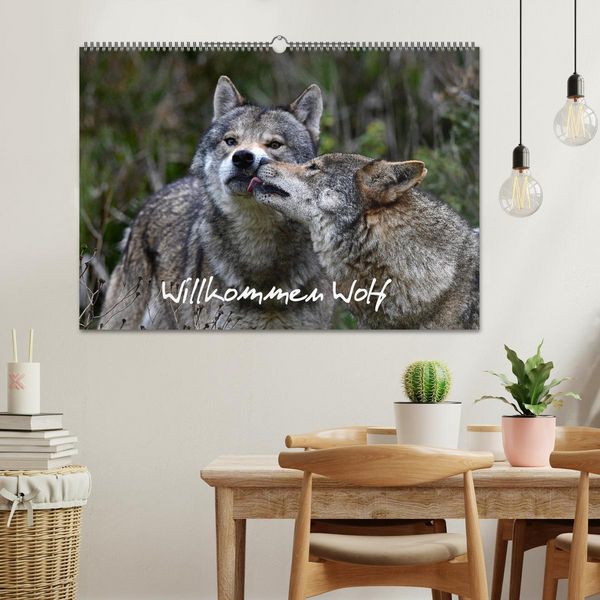 Produktbild: Willkommen Wolf (Wandkalender 2026 DIN A2 quer), CALVENDO Monatskalender