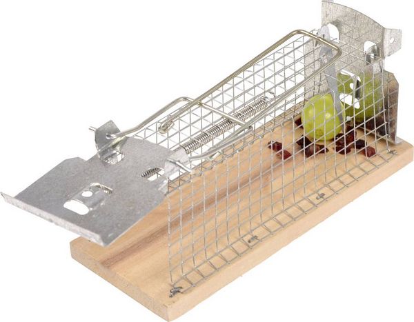 Produktbild: Gardigo Live Mouse Trap Lebendfalle Funktionsart Lockstoff 1St.