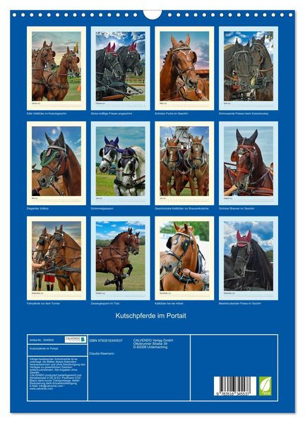 Produktbild: Kutschpferde im Portait (Wandkalender 2026 DIN A3 hoch), CALVENDO Monatskalender