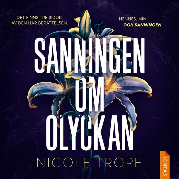Sanningen om olyckan - Nicole Trope, Audio, 9788742805282