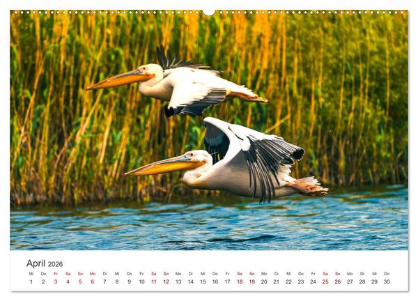 Produktbild: Rum&auml;nien - Das beeindruckende Land am Schwarzen Meer. (hochwertiger Premium Wandkalender 2026 DIN A2 quer), Kunstdruck in Hochglanz