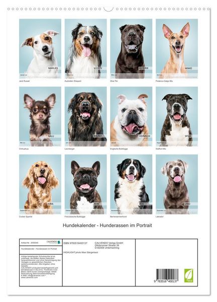 Produktbild: Hundekalender - Hunderassen im Portrait (hochwertiger Premium Wandkalender 2026 DIN A2 hoch), Kunstdruck in Hochglanz