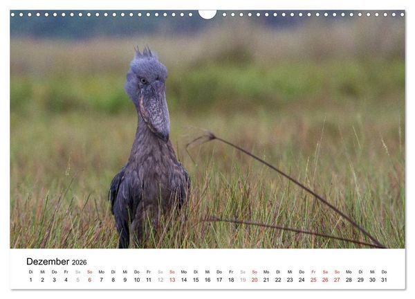 Produktbild: Uganda - die Perle Afrikas (Wandkalender 2026 DIN A3 quer), CALVENDO Monatskalender
