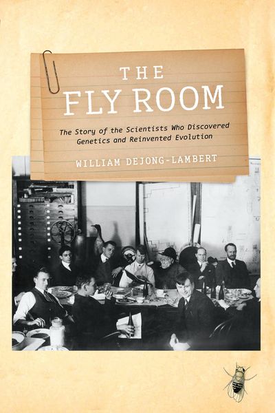 Produktbild: The Fly Room