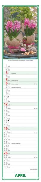 Produktbild: Paules Gartenplaner 2026 - Streifenplaner - Wandplaner - Küchen-Kalender - 11,3x49,5