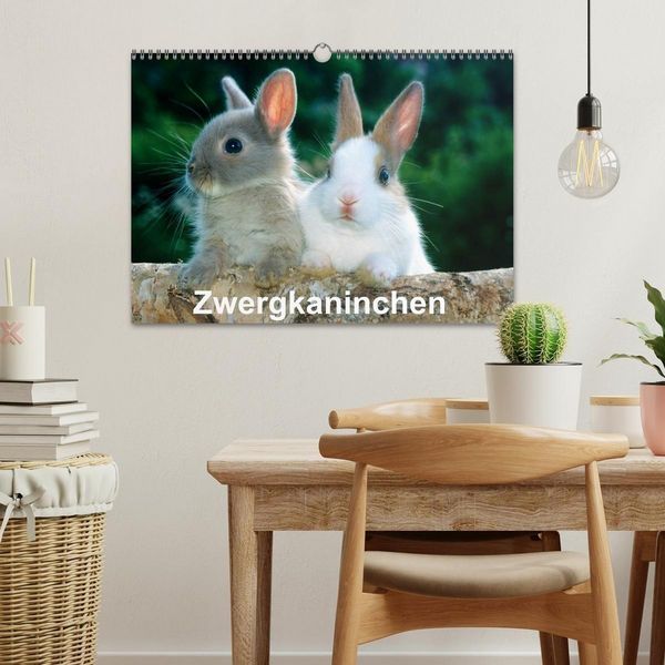 Produktbild: Zwergkaninchen (Wandkalender 2027 DIN A3 quer), CALVENDO Monatskalender