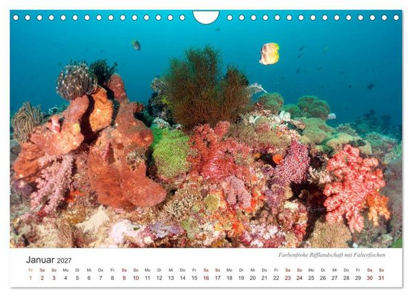 Produktbild: Unterwasser - eine bunte Welt (Wandkalender 2027 DIN A4 quer), CALVENDO Monatskalender