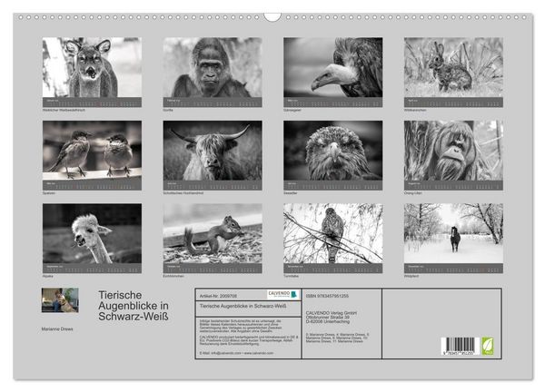 Produktbild: Tierische Augenblicke in Schwarz-Wei&szlig; (Wandkalender 2026 DIN A2 quer), CALVENDO Monatskalender