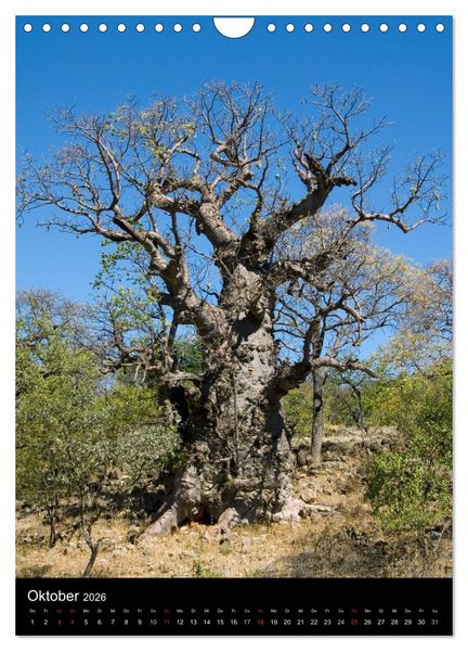 Produktbild: Faszination Namibia (Wandkalender 2026 DIN A4 hoch), CALVENDO Monatskalender
