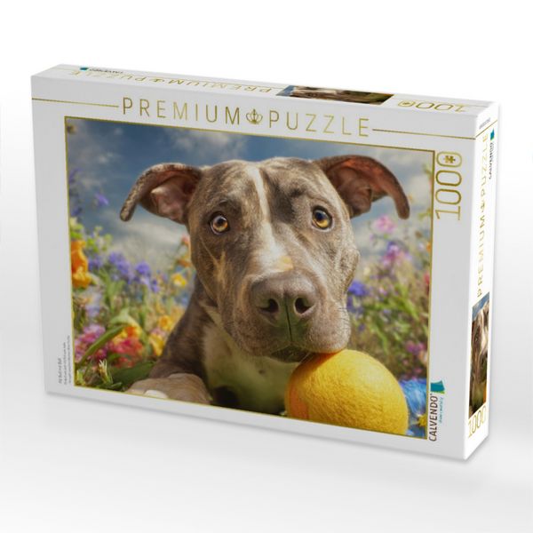 Produktbild: CALVENDO Puzzle Pit Bull mit Ball | 1000 Teile Lege-Gr&ouml;&szlig;e 64x48cm Foto-Puzzle f&uuml;r gl&uuml;ckliche Stunden