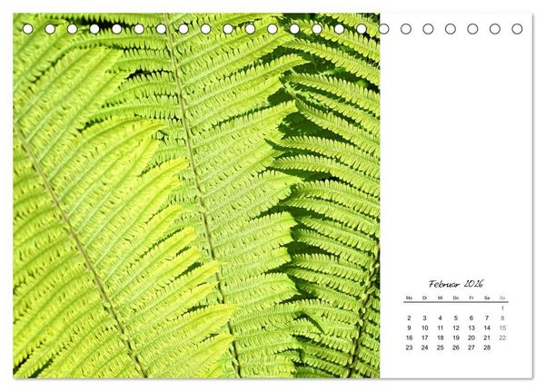 Produktbild: Blattkunst (Tischkalender 2026 DIN A5 quer), CALVENDO Monatskalender